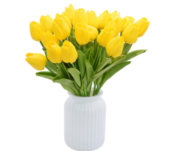 Тюльпан желтый «Kebol» Эстелла Рийнвельд 8 штук, в горшке