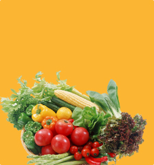 Подходят для посадки сейчас